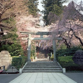 八幡神社.jpg