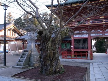 塩釜神社2.jpg
