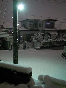雪景色1.jpg