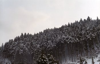 鳴子雪1.jpg