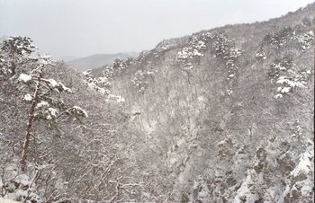鳴子雪2.jpg